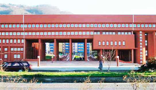 Giresun Hükümet Konağı8